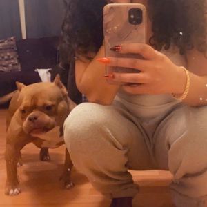 Neither I or the fur baby are 4 sell! If ur a #MircoBully loverinbox me #Luxury